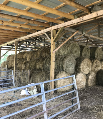 pic 1